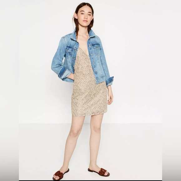 Zara Sz Med Slip Dress Beige Gray (Grey) Crochet Floral Low Back Mini Vneck - Picture 1 of 10